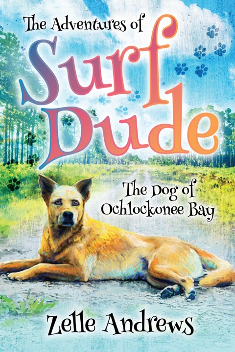 Front cover of The Adventures of Surf Dude