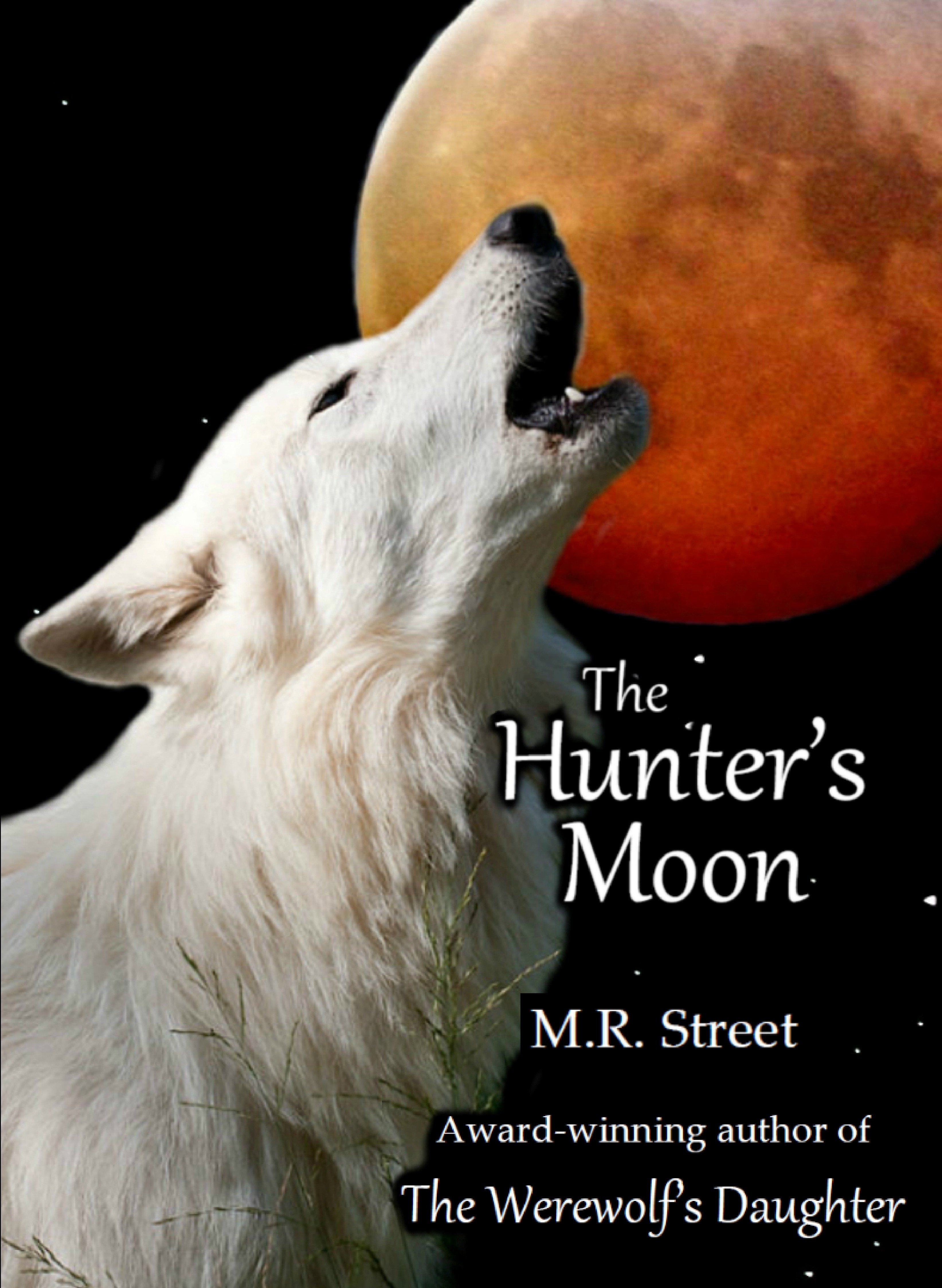 Front cover of The Hunter's Moon