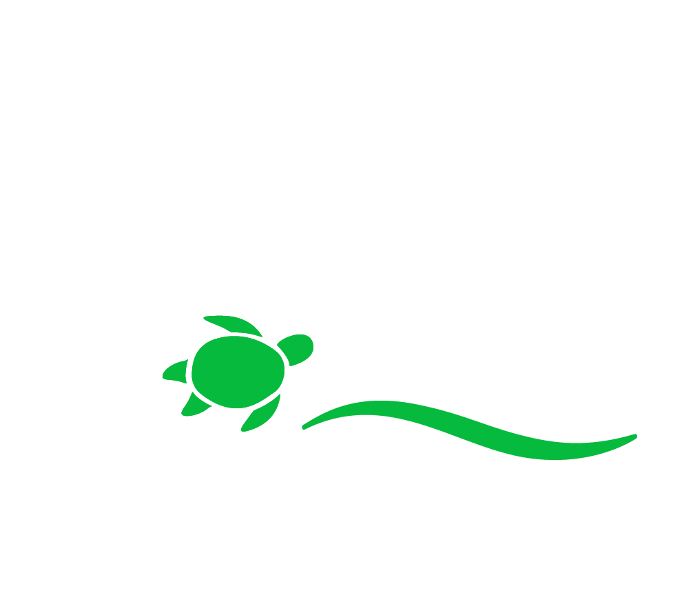 Turtle Cove Media